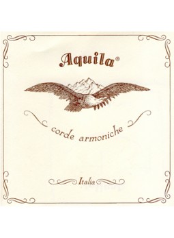 Aquila Venice gut strings